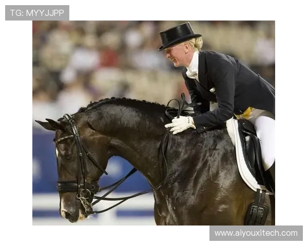 世界马术锦标赛观众着装优雅,成时尚盛会